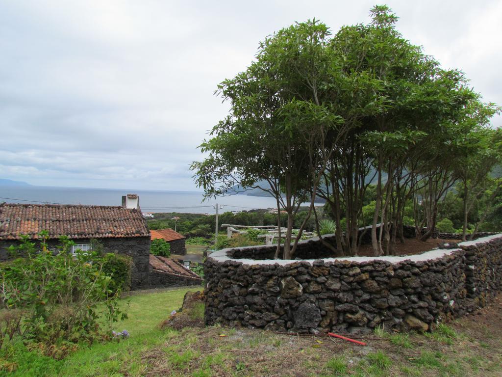 Casas de Campo HousesInPico Prainha  Exterior foto